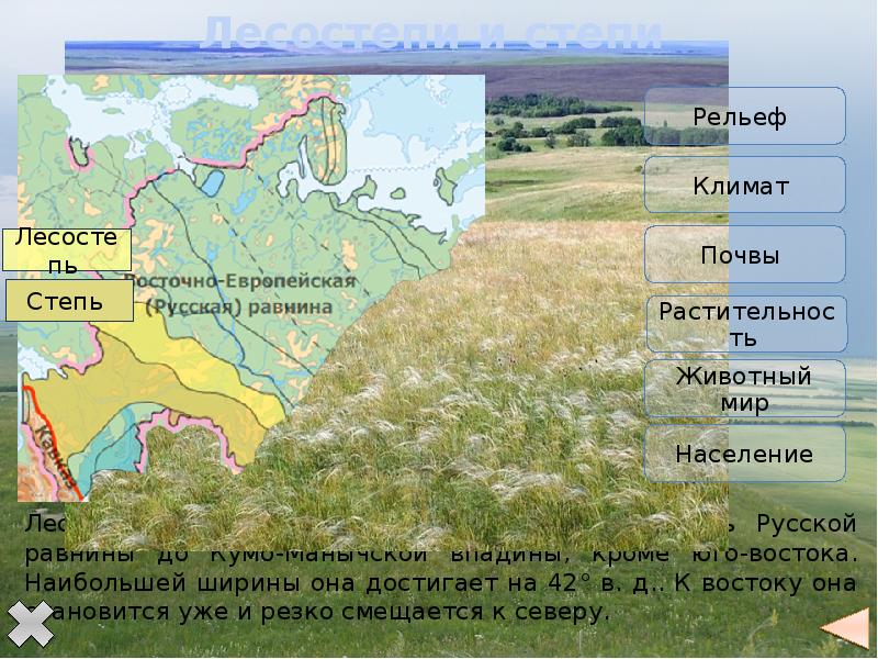 План описания природного района восточно европейская равнина