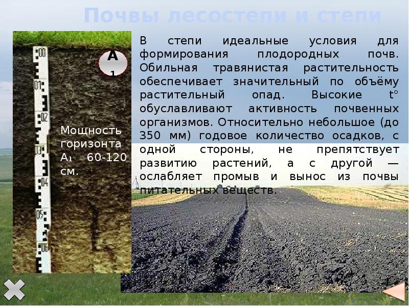 геогр положение восточно европейской равнины. рельеф восточно-европейской равнины 8 класс география. почвы русской равнины. карта климата восточно европейской равнины. почвы рельеф восточной европейской равнины.