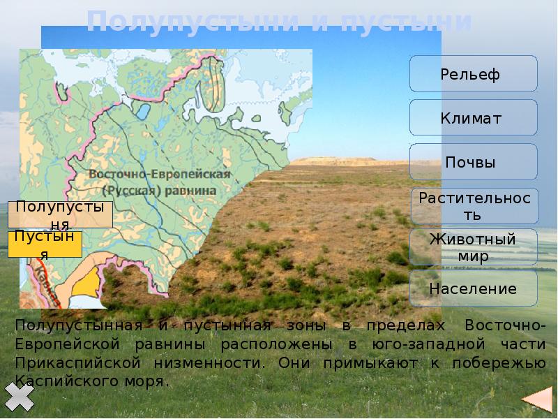 В какой стране находится восточная равнина. Рельеф Восточно европейской равнины на карте России. Карта климата Восточно европейской равнины. Рельеф русская Восточно-европейская равнина на карте. Рельеф Восточно-европейской равнины 8 класс география.