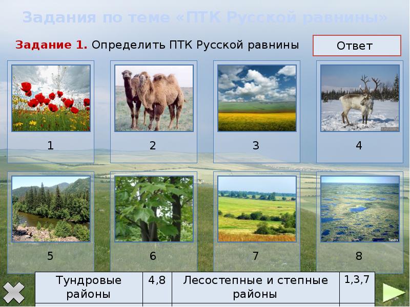 Природно территориальные комплексы россии презентация 8 класс