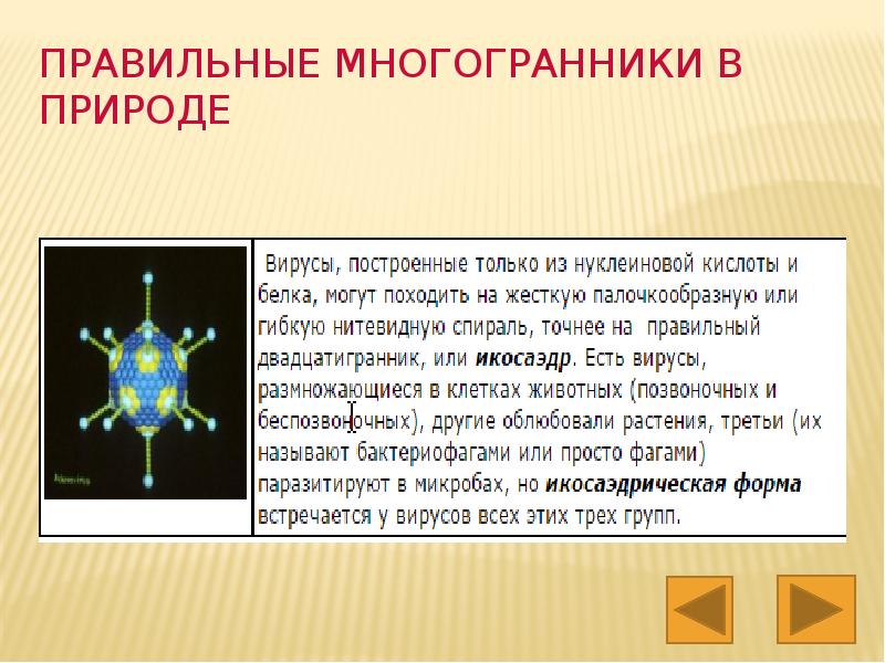 Актуальность проекта правильные многогранники