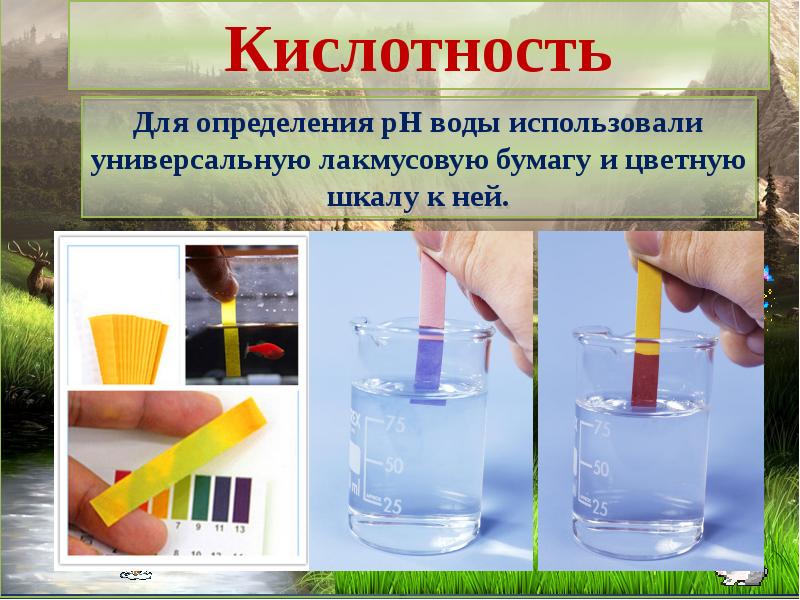 Определение кислотности. Лакмусовая бумага в воде. Лакмусовая бумага в щелочной среде. Лакмусовая бумага опыт по химии. Лакмусовая бумага в кислотной среде.