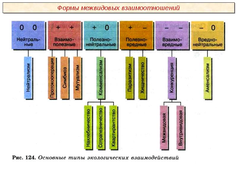 Презентация межвидовые взаимоотношения