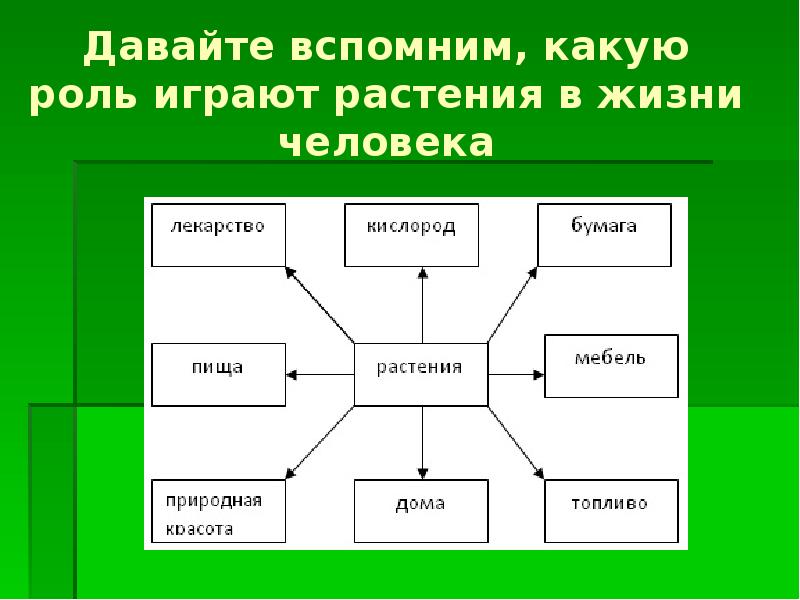 Дополните схему значение растений в жизни человека