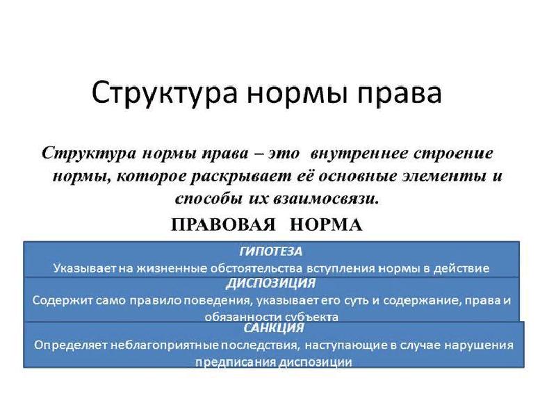 Презентацию на тему структура нормы права