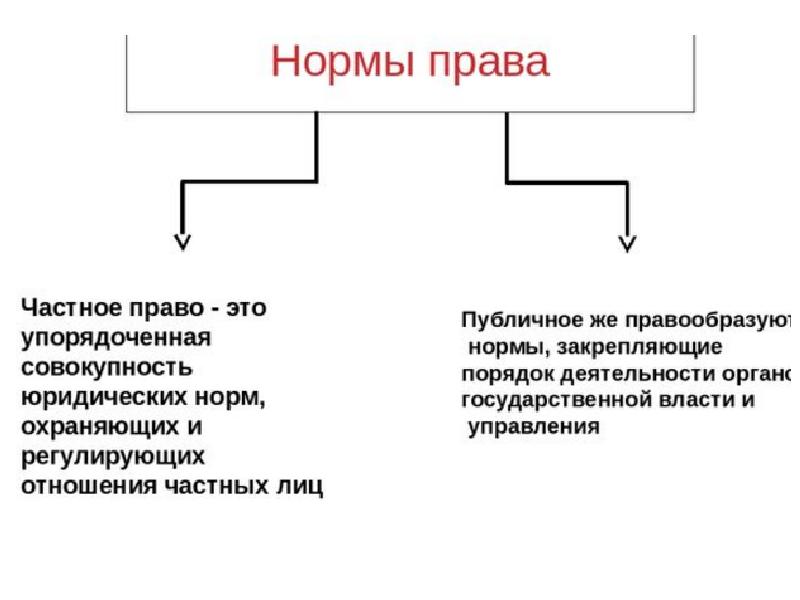 Частное право публичное право презентация