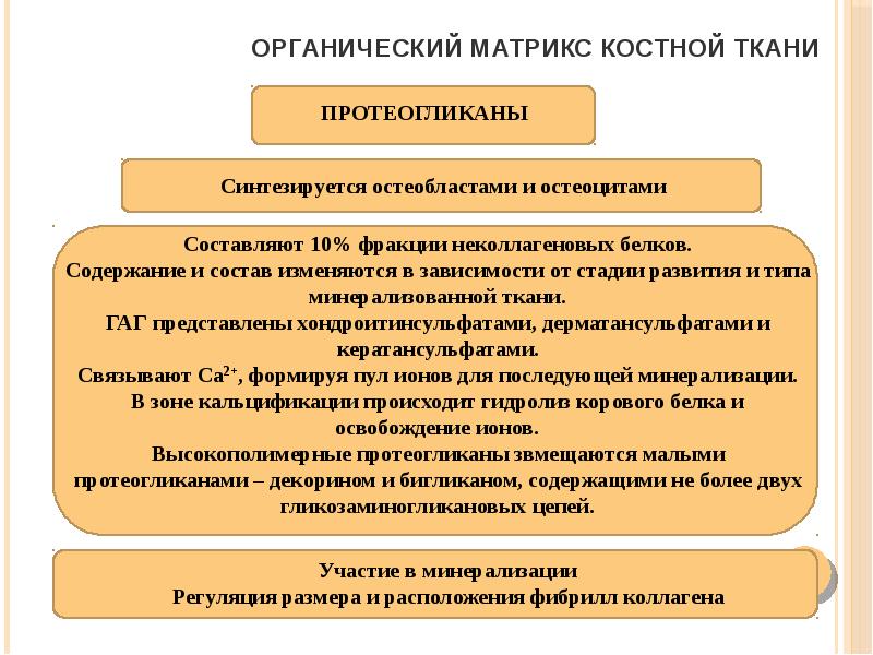 Биохимия костной ткани презентация