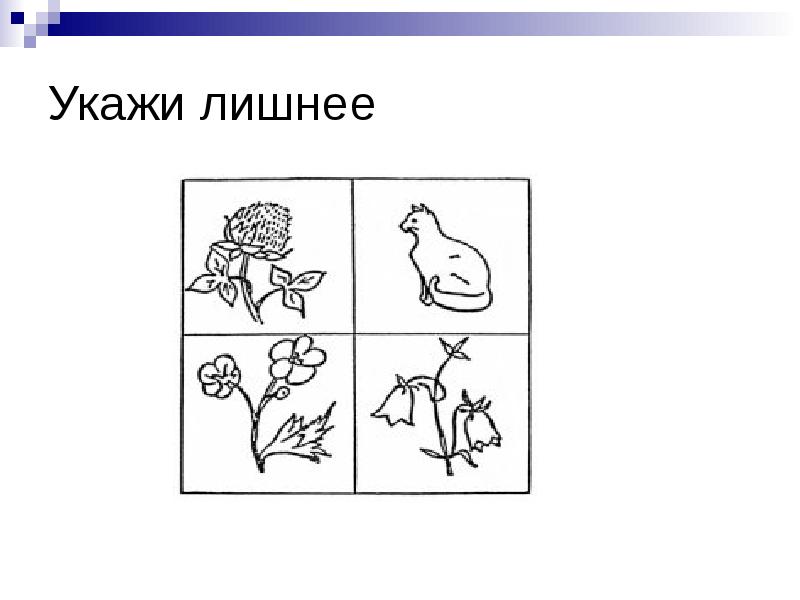 Укажите лишнее. Обследование младших школьников презентация. Укажите лишний объект. Укажите лишний предмет с точки зрения вида письменности.