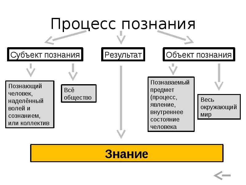 Сложный план на тему человек объект и субъект познания