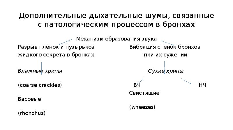 Дыхательные шумы. Механизм образования дыхательных шумо. Дополнительные дыхательные шумы. Дополнительные дыхательные шумы схема. Механизм образования дополнительных дыхательных шумов.