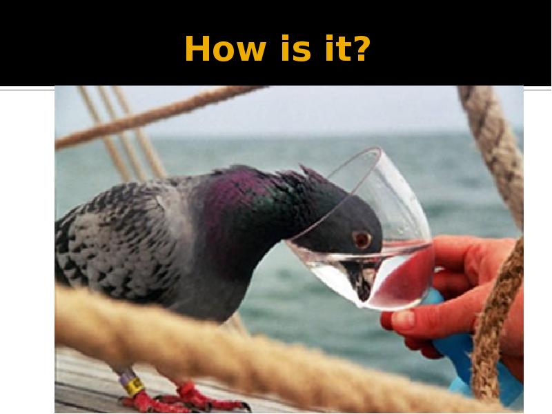 How is it? How is it?