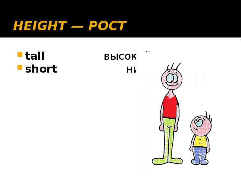 Tall short fat thin. Высокий на английском. Высокий низкий на английском. Short Tall для детей. Высокий и низкий человек.