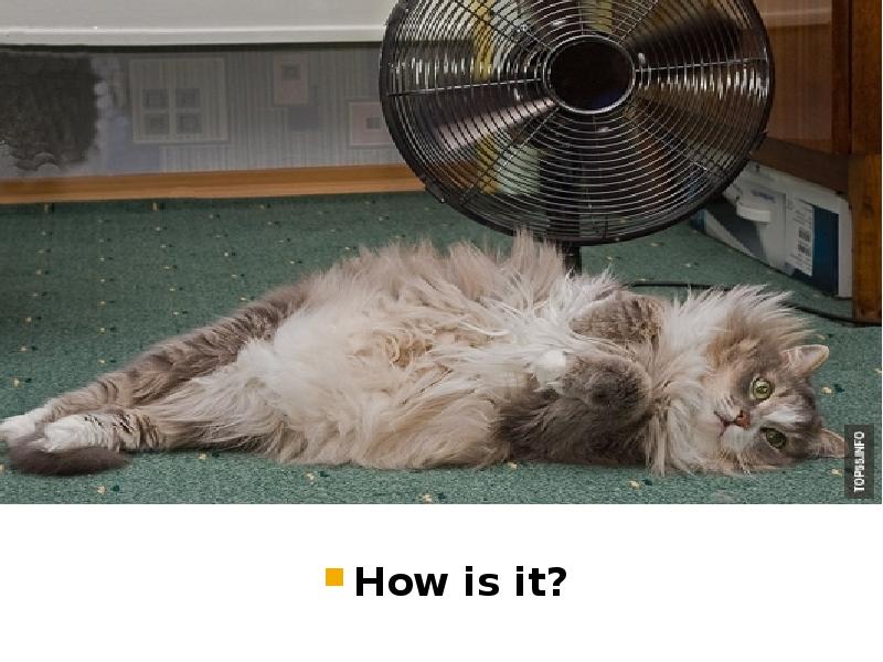 How is it? How is it?