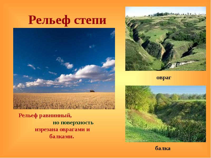 Породы русской равнины. Рельеф степи. Природные комплексы русской равнины. Рельеф степи рисунок. Равнинный рельеф закончи предложение.