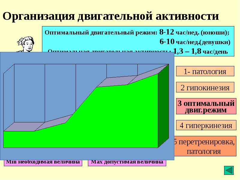 Режим двигательной активности презентация