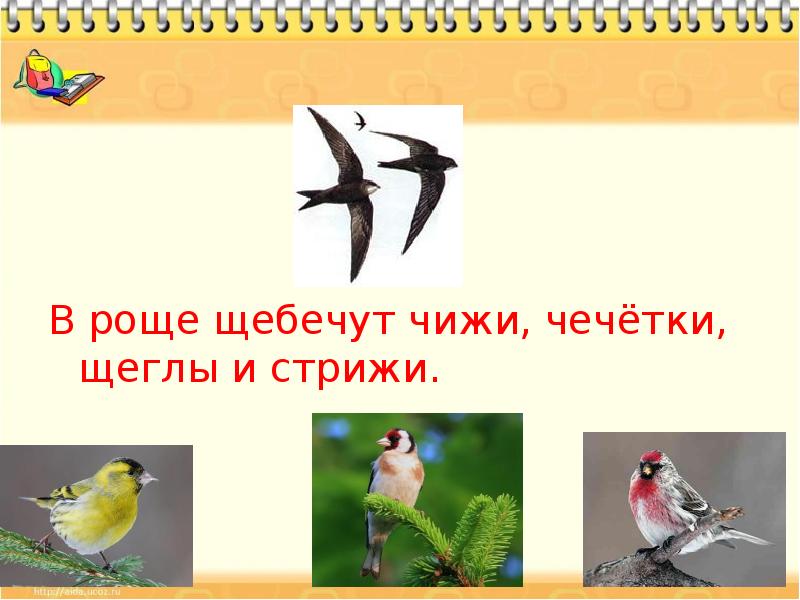 Щебечут птицы предложение. В роще щебечут Стрижи. В роще щебечет. В роще щебечут Стрижи и чижи. В роще щебечут Стрижи чечетки щеглы.