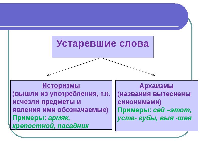 Специальная лексика презентация