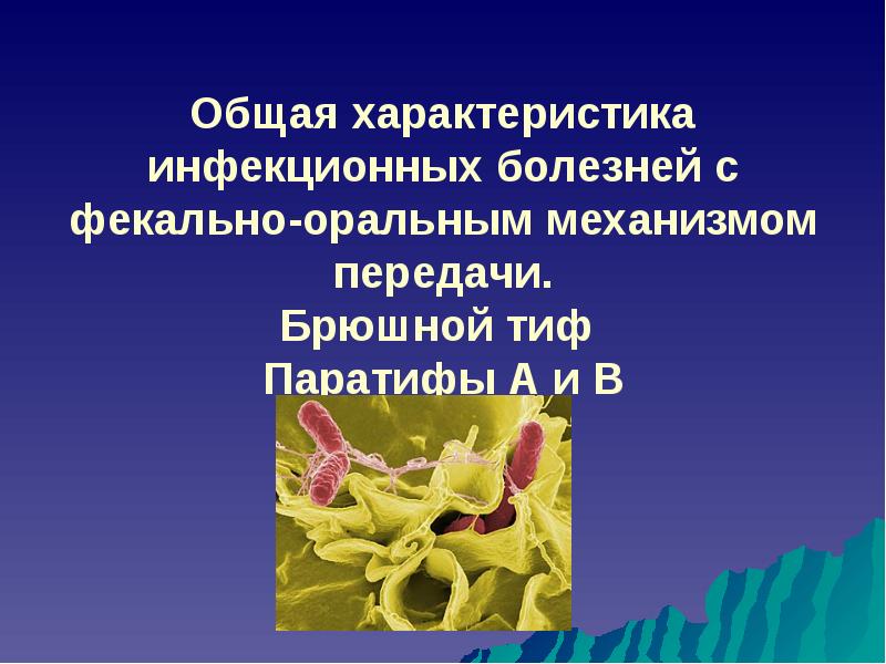 Особенности инфекционных заболеваний