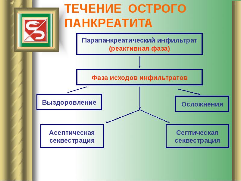 Панкреатит факультетская хирургия презентация