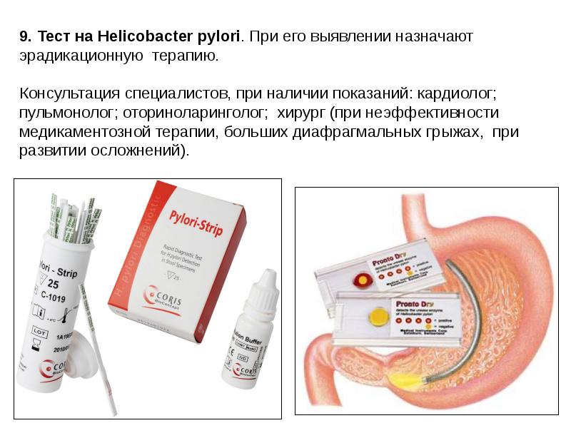 Helicobacter pylori dieta