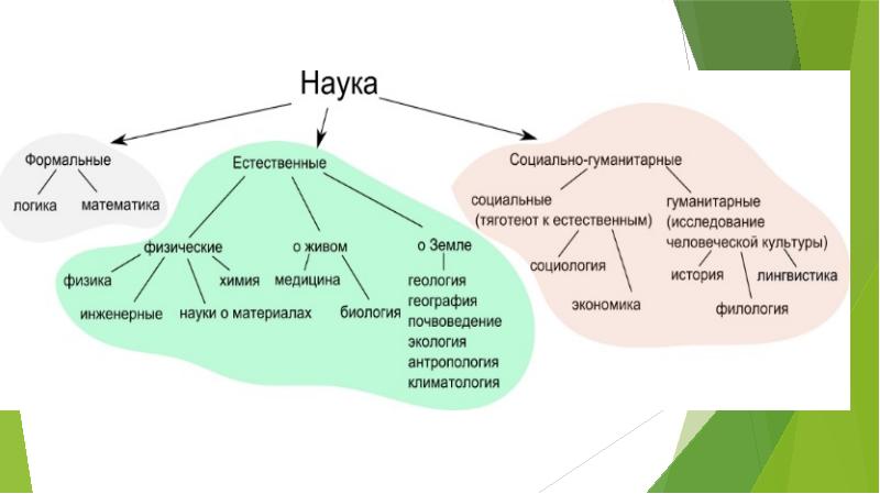 Презентация по обществознанию 10 класс наука