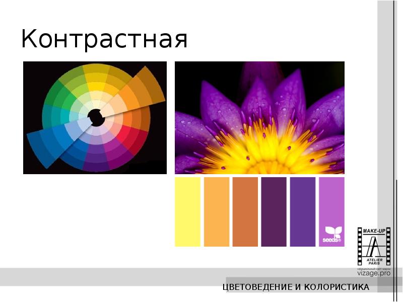 Что изучает наука колористика которая используется для создания презентаций