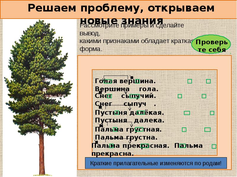 Прилагательное снежный краткая форма. Снежный краткая форма. Полная и краткая форма прилагательных 5 класс. Полная и краткая форма.