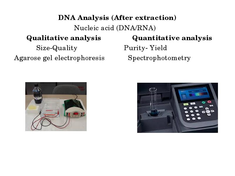 DNA Analysis (After extraction) DNA Analysis (After extraction)   