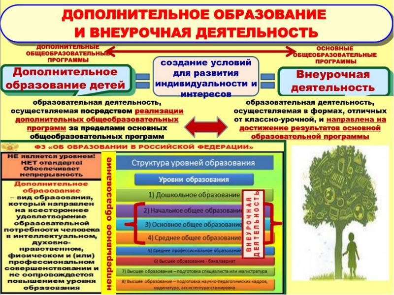 Примеры проектов в образовательных организациях дополнительного образования