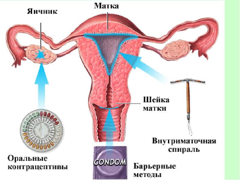 Гормональные препараты
