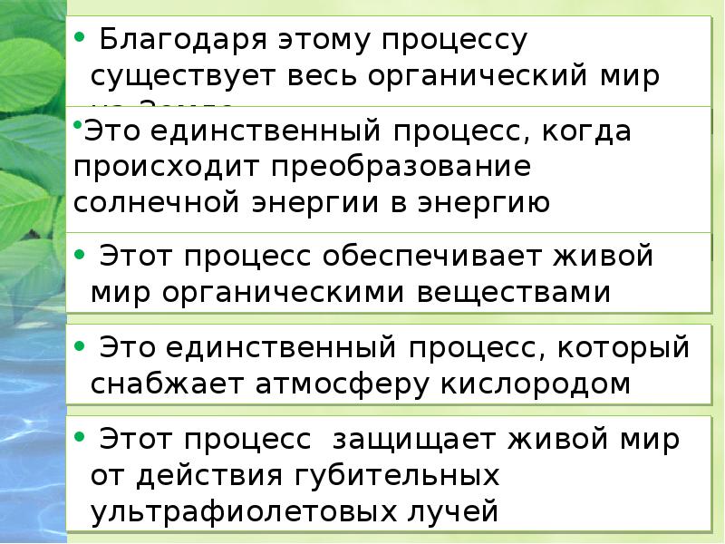 Какие бывают процессы в биологии 6 класс