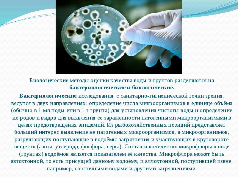 5 методов биологии. Биологические показатели качества воды. Биологические методы оценки качества воды. Биологические методы оценки воды. Биологический метод исследования.