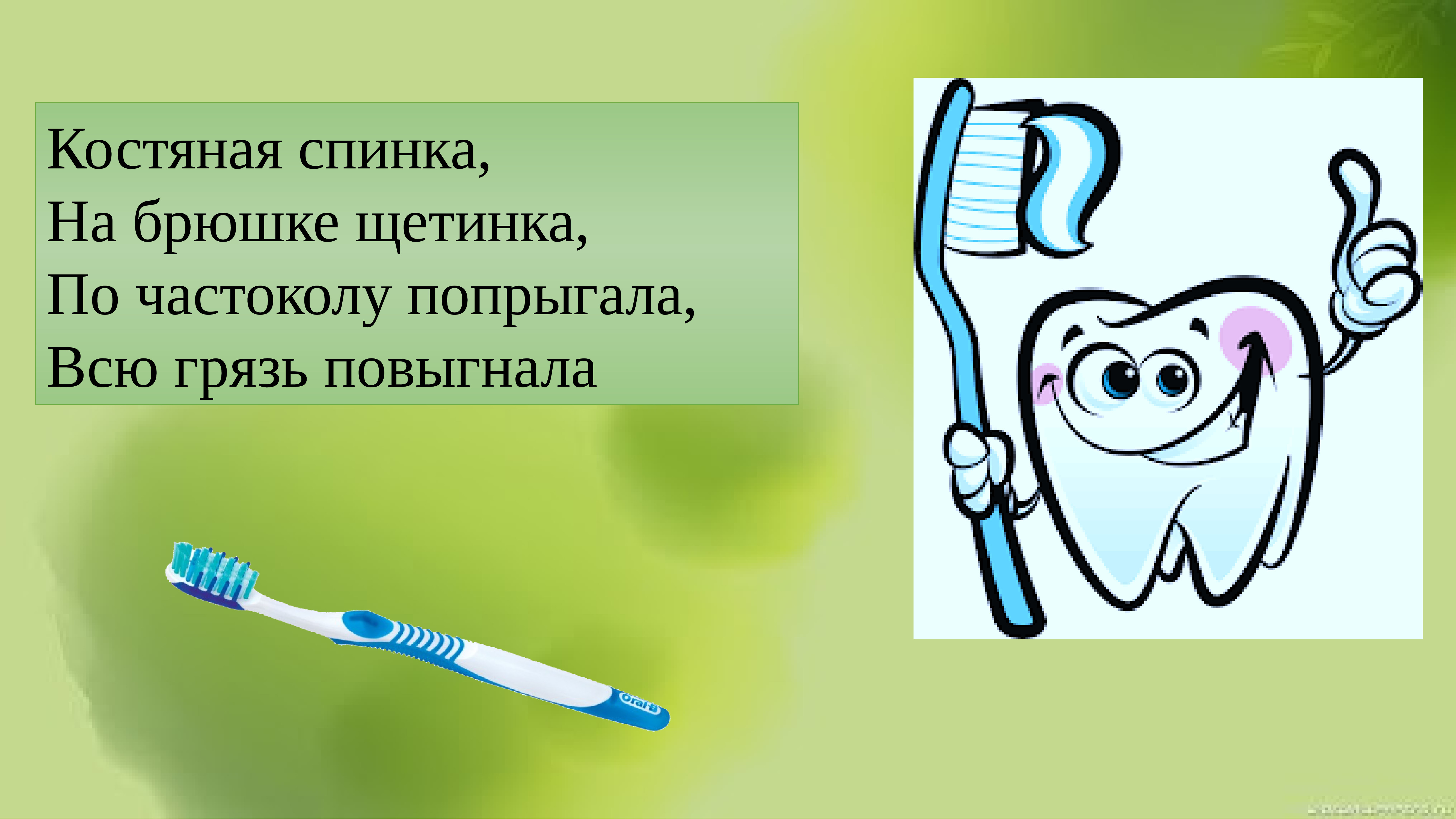 Загадка два брюшка. Загадка о зубной щетке с картинками для дошкольников костяная спинка.