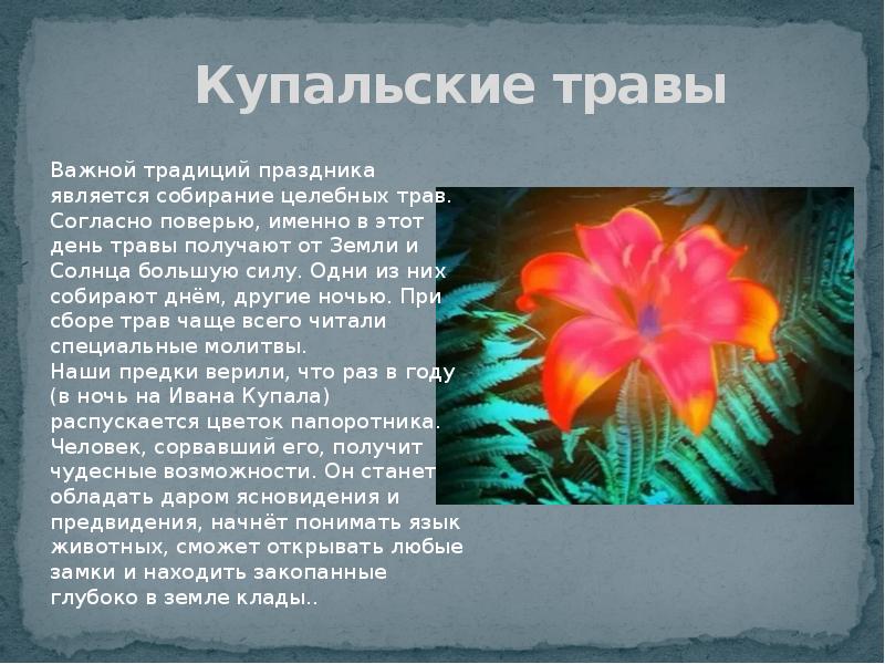 Праздник ивана купала презентация