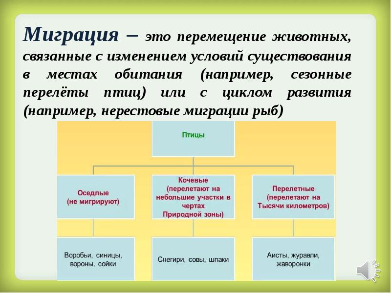 Какие условия существования