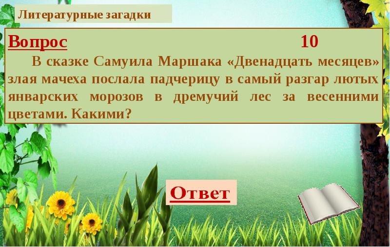 Презентация викторина загадки природы