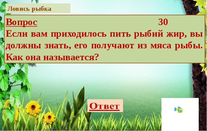 Презентация викторина загадки природы