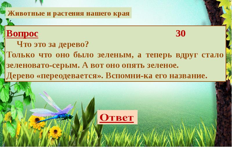 Загадка природы характеристика и описание. СТО загадок о природе. Слайд загадки лес. Вопросы про природу сложные.