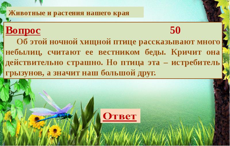 Загадка природы характеристика и описание. Слайд загадки лес. Загадка про Лесное сообщество.