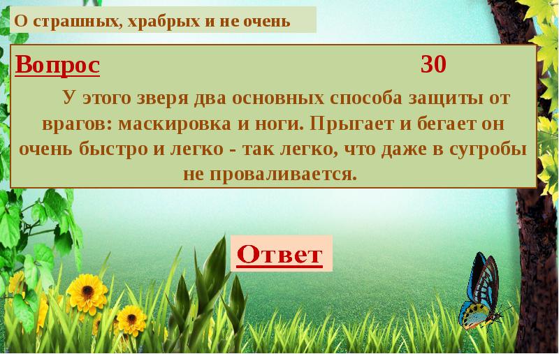 Загадки лесной поляны. Загадки про лес 3 класс.