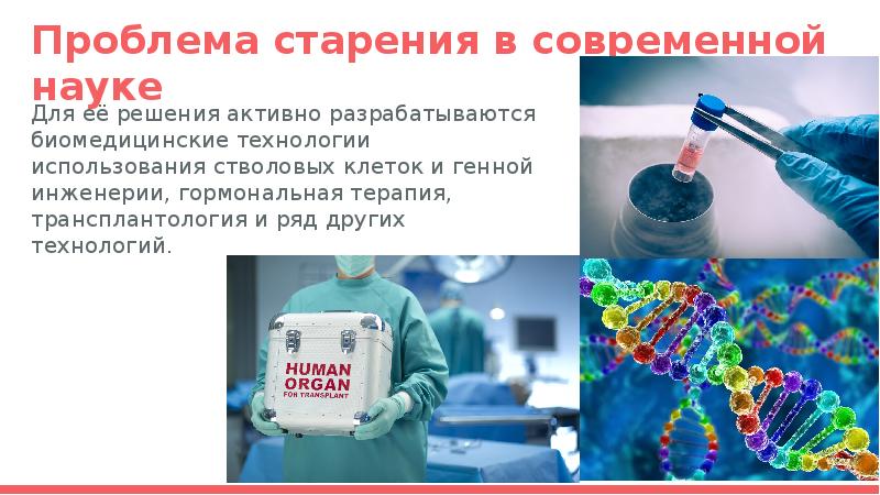 Цифровое бессмертие презентация