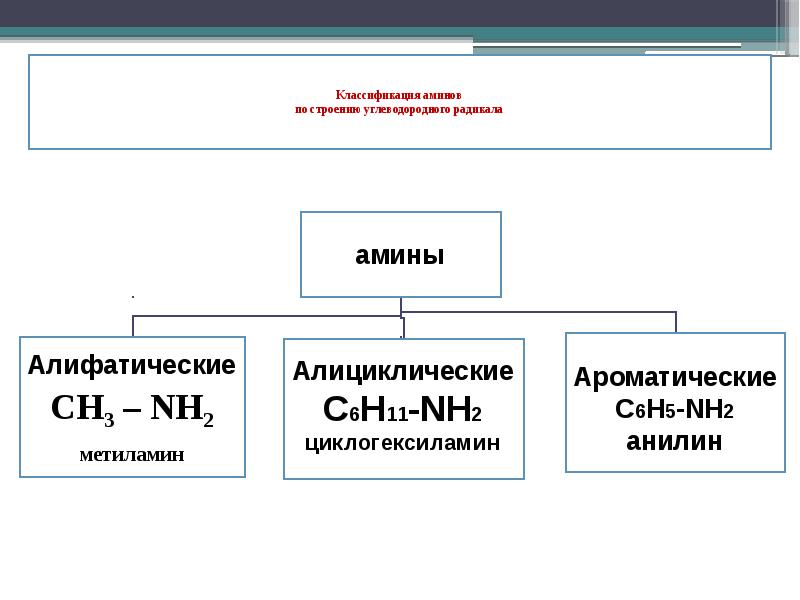 Заполните схему приведите примеры для каждой группы аминов классификация аминов