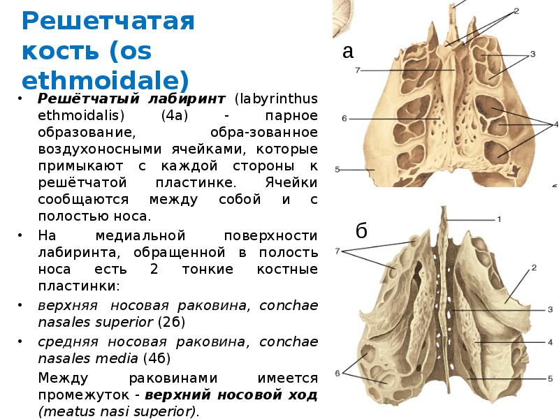 Решетчатые функции и их изображения