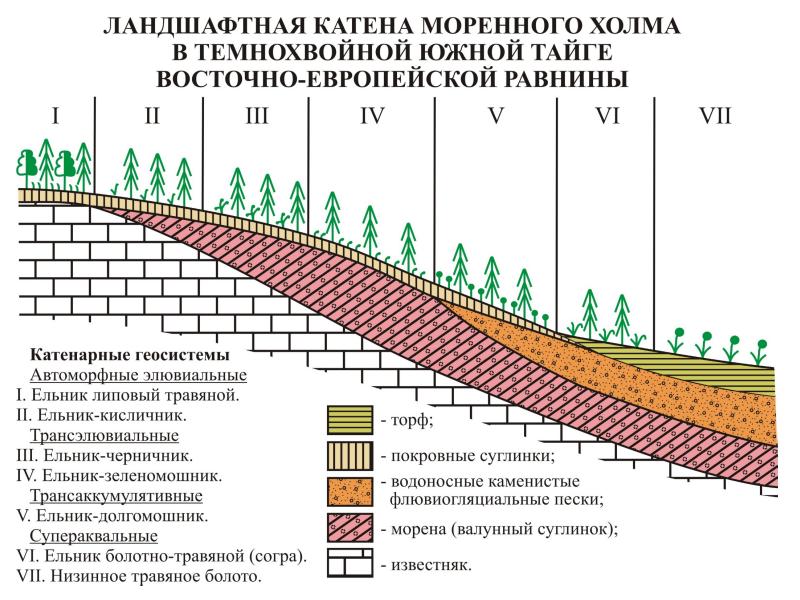 Моделировать схемы природных объектов строение почвы движение реки форма поверхности