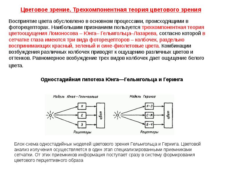 Цветовое зрение схема