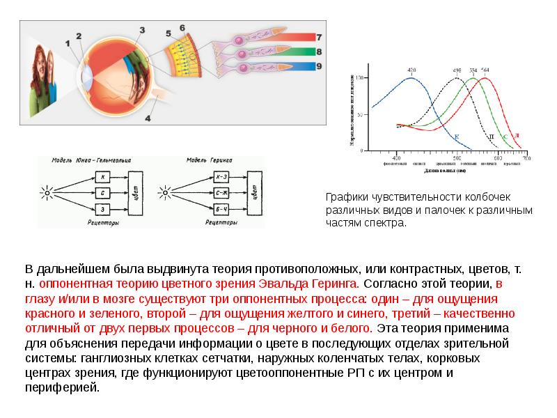 Контрастная чувствительность рентгеновского изображения