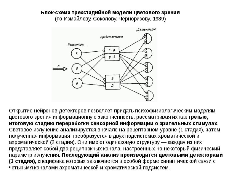 Блок схема зрительного анализатора