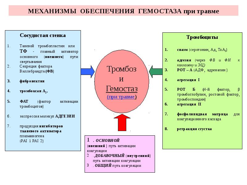 Механизмы повреждения сосудистой стенки при воспалении