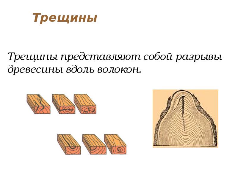 Вдоль волокон. Трещины древесины трещины усушки. Усушка древесины формула. Разрыв древесины вдоль волокон. Усушка древесины вдоль волокон.