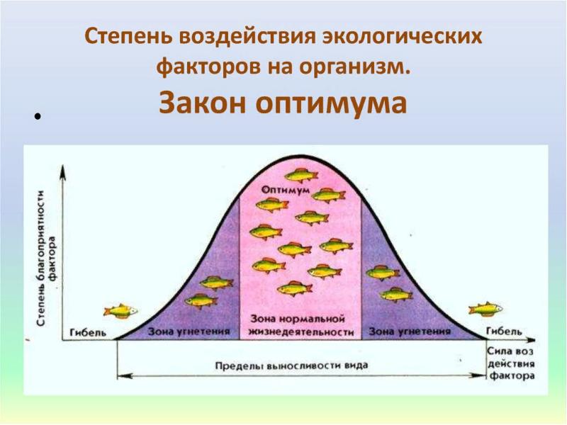 Закономерности действия факторов среды на организмы презентация